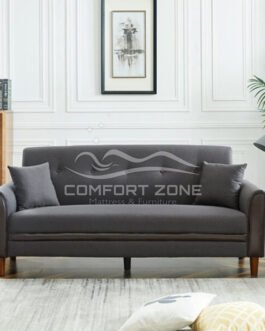 Living Room Modern Sofa with 2 Pillows Comfort Zone
